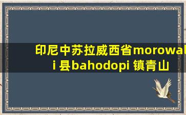 印尼中苏拉威西省morowali 县bahodopi 镇青山工业园